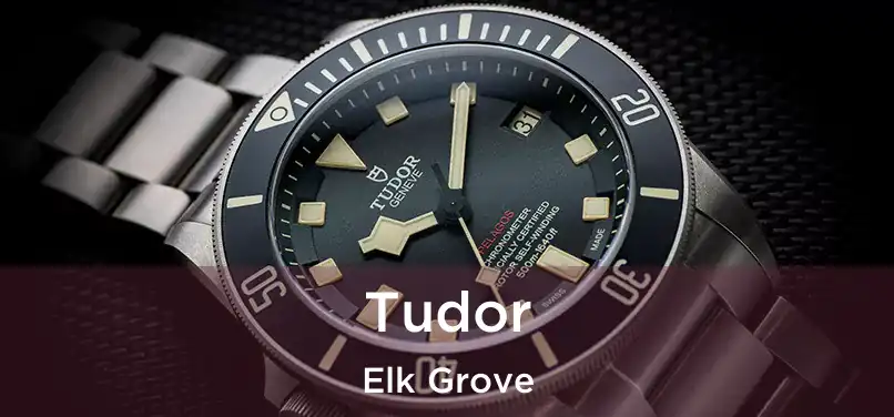 Tudor Elk Grove